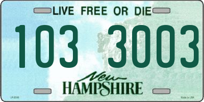 NH license plate 1033003