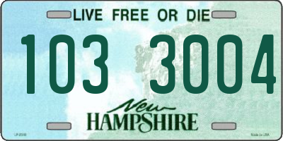 NH license plate 1033004