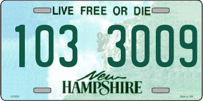 NH license plate 1033009
