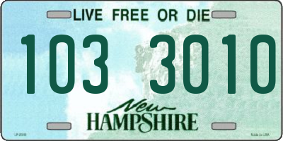 NH license plate 1033010