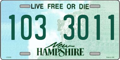 NH license plate 1033011
