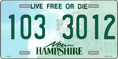 NH license plate 1033012