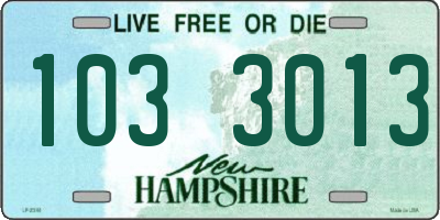 NH license plate 1033013