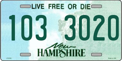 NH license plate 1033020