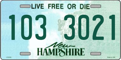 NH license plate 1033021