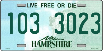 NH license plate 1033023