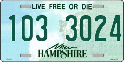 NH license plate 1033024