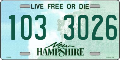 NH license plate 1033026
