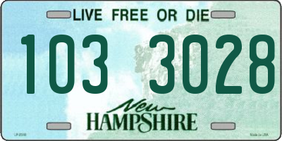 NH license plate 1033028