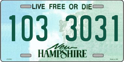 NH license plate 1033031