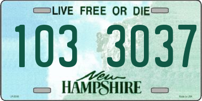 NH license plate 1033037