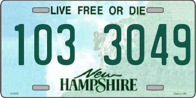 NH license plate 1033049