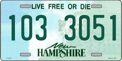 NH license plate 1033051
