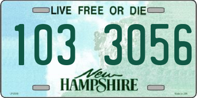 NH license plate 1033056