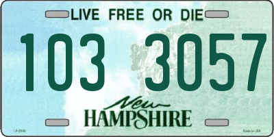 NH license plate 1033057