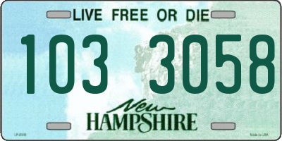 NH license plate 1033058