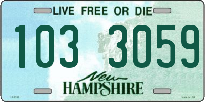 NH license plate 1033059