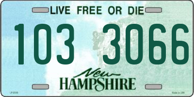 NH license plate 1033066