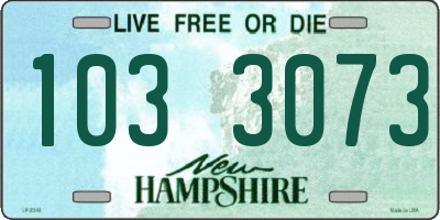 NH license plate 1033073