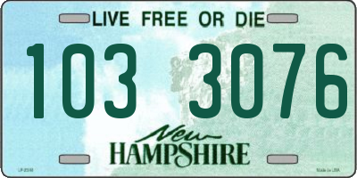 NH license plate 1033076