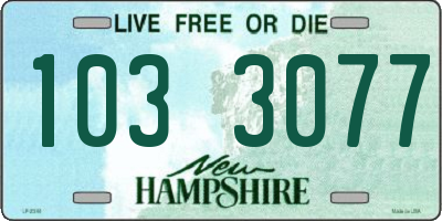 NH license plate 1033077
