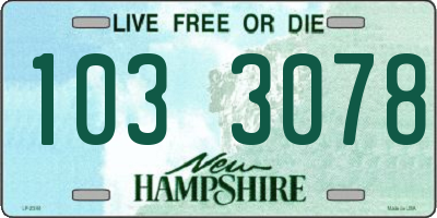 NH license plate 1033078