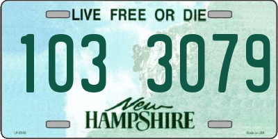 NH license plate 1033079