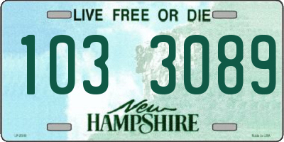NH license plate 1033089