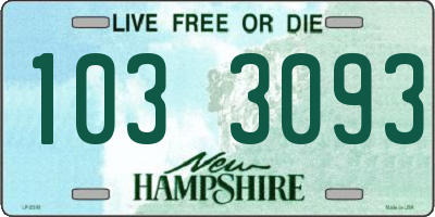 NH license plate 1033093
