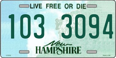NH license plate 1033094