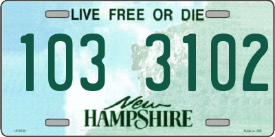 NH license plate 1033102