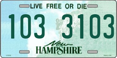 NH license plate 1033103