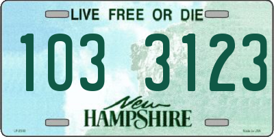 NH license plate 1033123