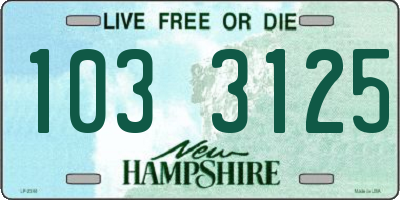 NH license plate 1033125