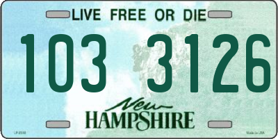 NH license plate 1033126