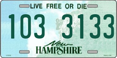 NH license plate 1033133