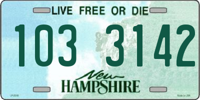 NH license plate 1033142