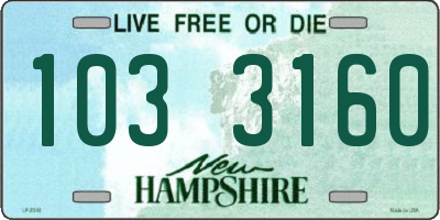 NH license plate 1033160