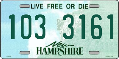 NH license plate 1033161