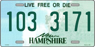 NH license plate 1033171