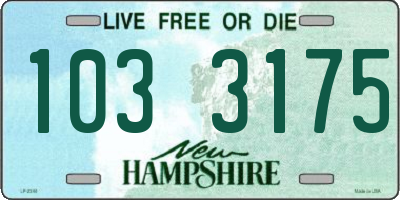 NH license plate 1033175