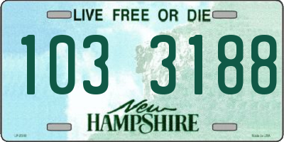 NH license plate 1033188