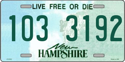 NH license plate 1033192