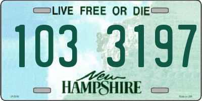NH license plate 1033197