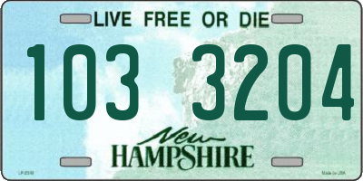 NH license plate 1033204