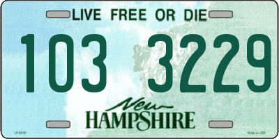 NH license plate 1033229