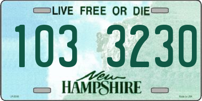 NH license plate 1033230
