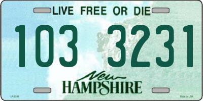 NH license plate 1033231