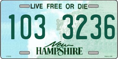 NH license plate 1033236