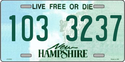 NH license plate 1033237